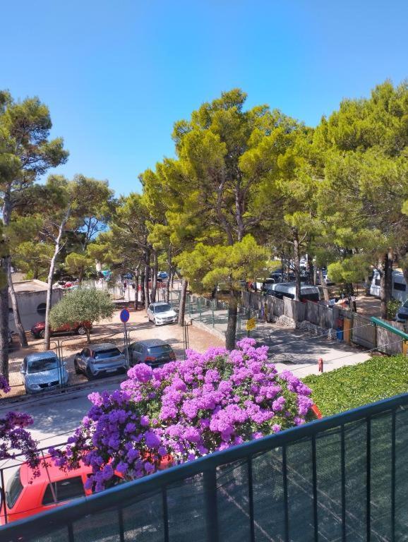 Luma Del Mare Makarska